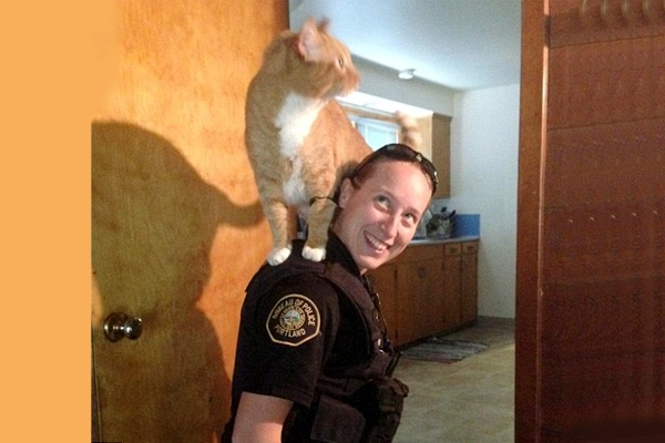 Cat help cops look for burglars},{Cat help cops look for burglars