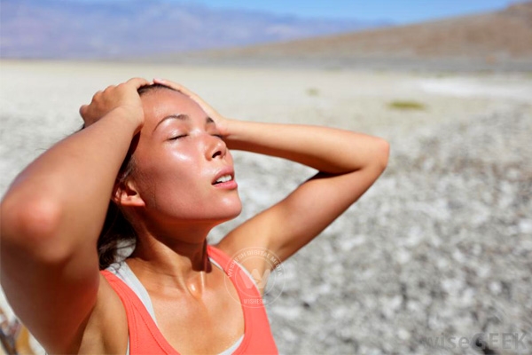 Top hydrating food to beat summer},{Top hydrating food to beat summer