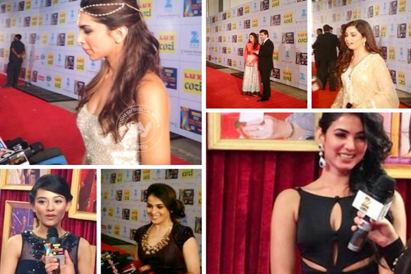 Stars who rocked the red carpet in Zee Cine Awards 2014},{Stars who rocked the red carpet in Zee Cine Awards 2014