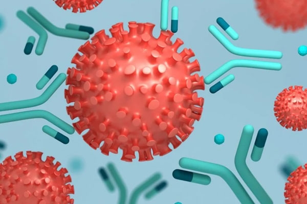 New Study Says Covid Antibodies Found in Mother's Milk