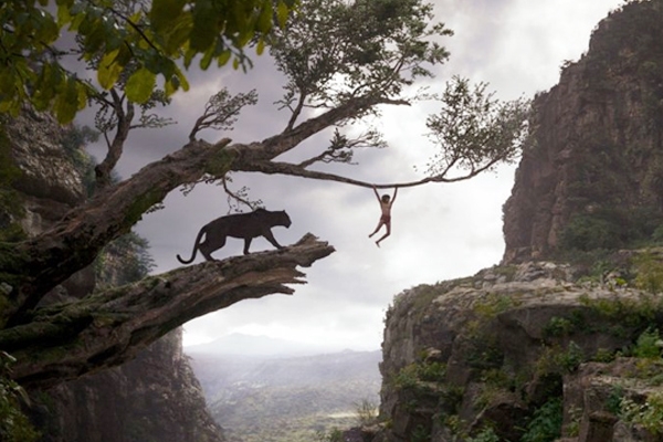 Hollywood Film Revenue In India Rises 10 Percent