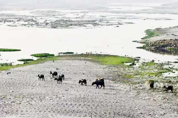 India is burning after Monsoons are on