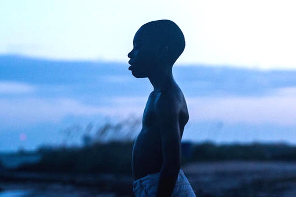 “Moonlight” awarded the best film in 2016!