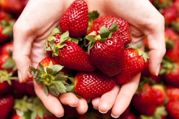 Go high on strawberries},{Go high on strawberries