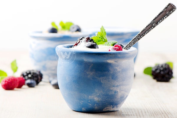 Why you must eat probiotics?},{Why you must eat probiotics?